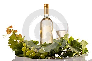 White wine bottle and glass on white background with vine leaves and grapes