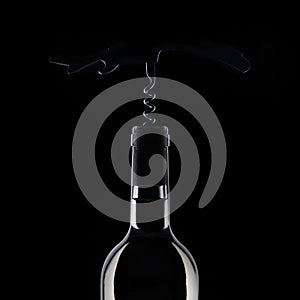 white wine bottle isolated on black background