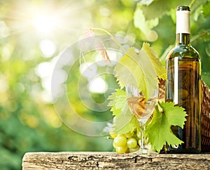 White wine bottle, vine, glass and bunch of grapes