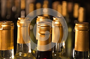 White Wine Bottles Lined-Up