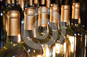 White Wine Bottles Lined-Up