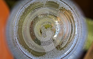 White wine bubbles in the glass detail