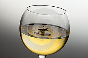 White wine glass with copy space