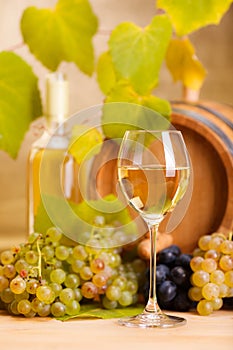White wine glass (shallow DOF)