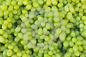 White wine grapes (background)