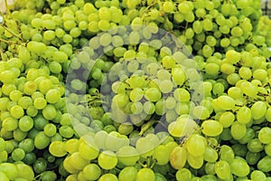 White wine grapes. Raw fruit background