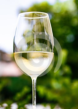 White wine in luxury restaurant on summer garden terrace, wine tasting experience at winery in the vineyard, gourmet