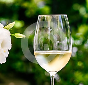 White wine in luxury restaurant on summer garden terrace, wine tasting experience at winery in the vineyard, gourmet