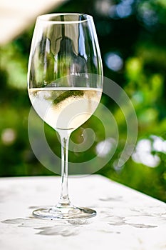 White wine in luxury restaurant on summer garden terrace, wine tasting experience at winery in the vineyard, gourmet