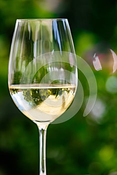 White wine in luxury restaurant on summer garden terrace, wine tasting experience at winery in the vineyard, gourmet