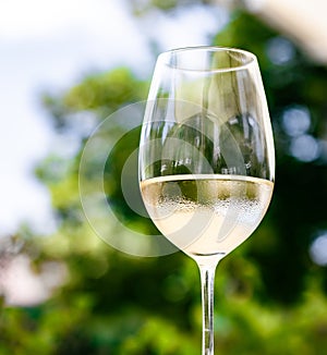 White wine in luxury restaurant on summer garden terrace, wine tasting experience at winery in the vineyard, gourmet