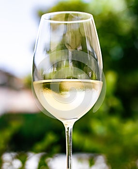 White wine in luxury restaurant on summer garden terrace, wine tasting experience at winery in the vineyard, gourmet