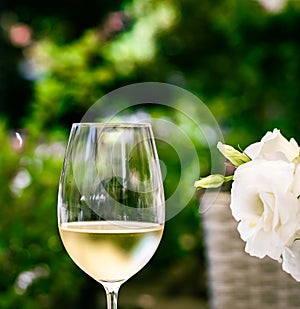 White wine in luxury restaurant on summer garden terrace, wine tasting experience at winery in the vineyard, gourmet