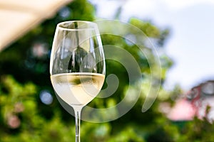 White wine in luxury restaurant on summer garden terrace, wine tasting experience at winery in the vineyard, gourmet