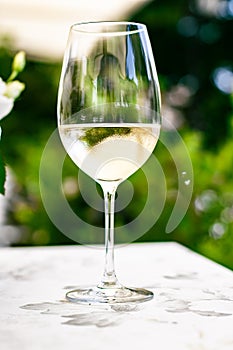White wine in luxury restaurant on summer garden terrace, wine tasting experience at winery in the vineyard, gourmet