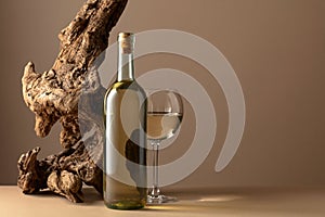 White wine and old snag on a beige background