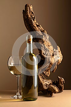 White wine and old snag on a beige background