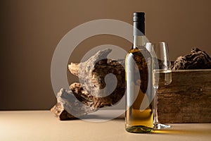 White wine and old snag on a beige background