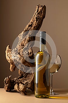 White wine and old snag on a beige background