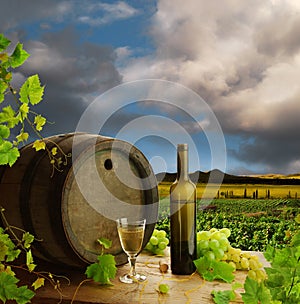 White wine still life with vineyard