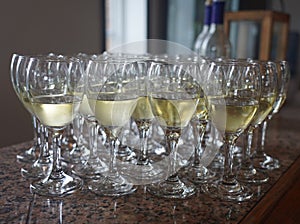 White Wine Tasting by the Vineyard