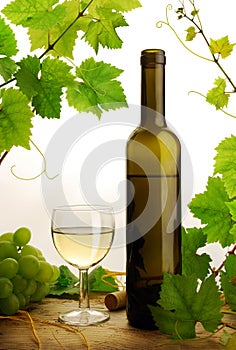 White wine on white background