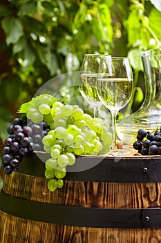 White wine with wineglass and grapes on garden terrace