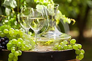 Vino blanco copas de vino a uvas sobre el jardín terraza 