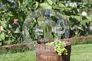 White wine on wooden vintage barrel