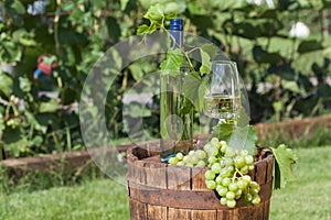 White wine on wooden vintage barrel