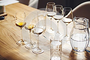 White wines in glasses on table, sommelier tasting preparation. White wines in glasses on table, sommelier tasting