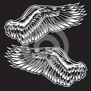 White Wings Bird feather on black background  Tattoo Vector