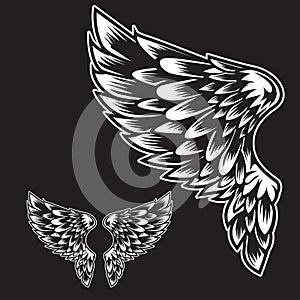 White Wings Bird feather on black background  Tattoo Vector