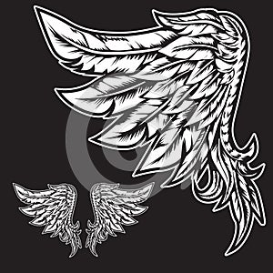 White Wings Bird feather on black background  Tattoo Vector