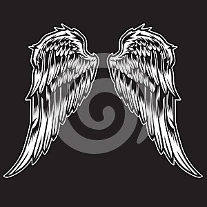 White Wings Bird feather on black background  Tattoo Vector