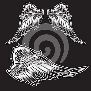 White Wings Bird feather on black background  Tattoo Vector