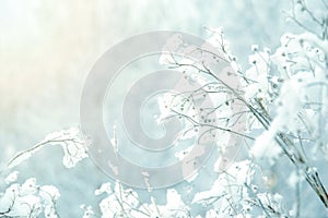 White winter background. photo