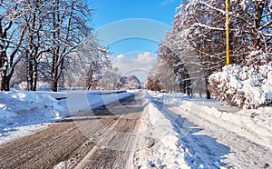 White winter campus of famous Russian university with snowed trees in Moscow under blue sunny sky