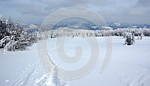 White winter landscape