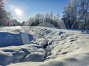 White winter landscape with big ditch, trees, bushes and vegetation covered with snow after a heavy snowfall on a sunny day. Snowy