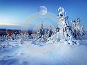 White Winter Landscape, Snow Trees Scene, Background