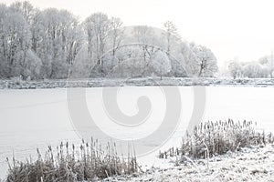 White winter landscape - snowy river and frosty trees on shore