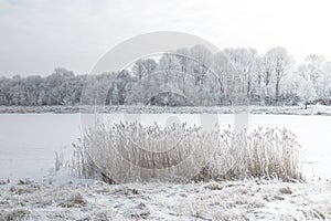 White winter landscape - snowy river and frosty trees on shore