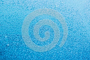 White wintry hoarfrost background