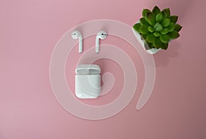 White wireless headphones with a charger for them. Green indoor flower next to wireless headphones on a pink background. Copy photo