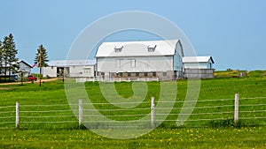 White Wisconsin Barn with Fence