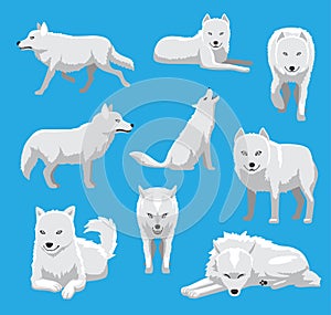 White Wolf Arctic Fox Cartoon Vector Illustration