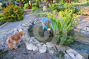 White woman and her dog cleans artificial garden pond from slime and water plants