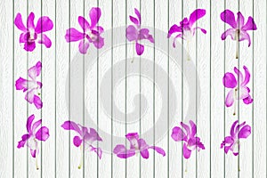 white wood background with orchid decoration