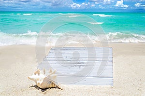 White wood board with seashell on the sandy beach